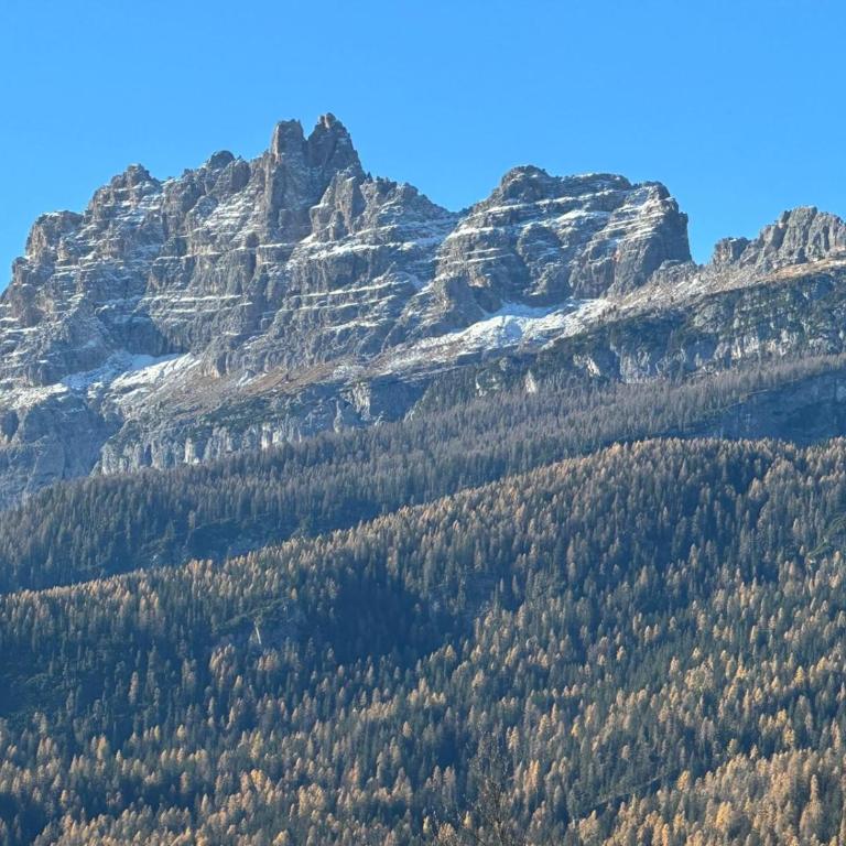Hotel Serena Cortina - Camera Matrimoniale/Doppia con Letti Singoli nella Dependance - 5