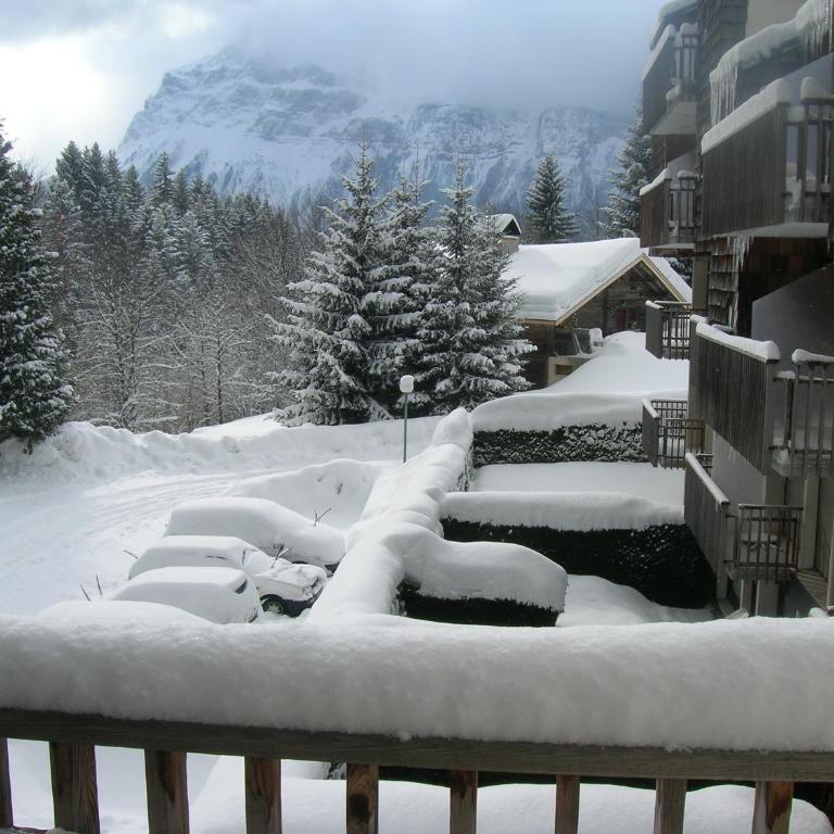 Coquet Studio de 4 personnes aux Carroz - Balcon et Wifi - Apartment mit Balkon - 10