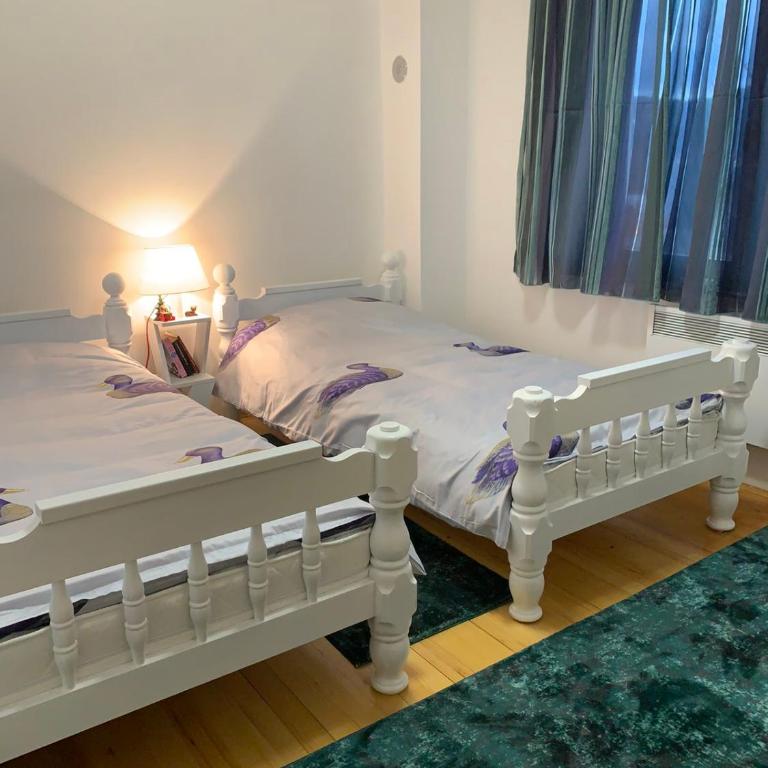 Ski Monti - Two-Bedroom Apartment - 8