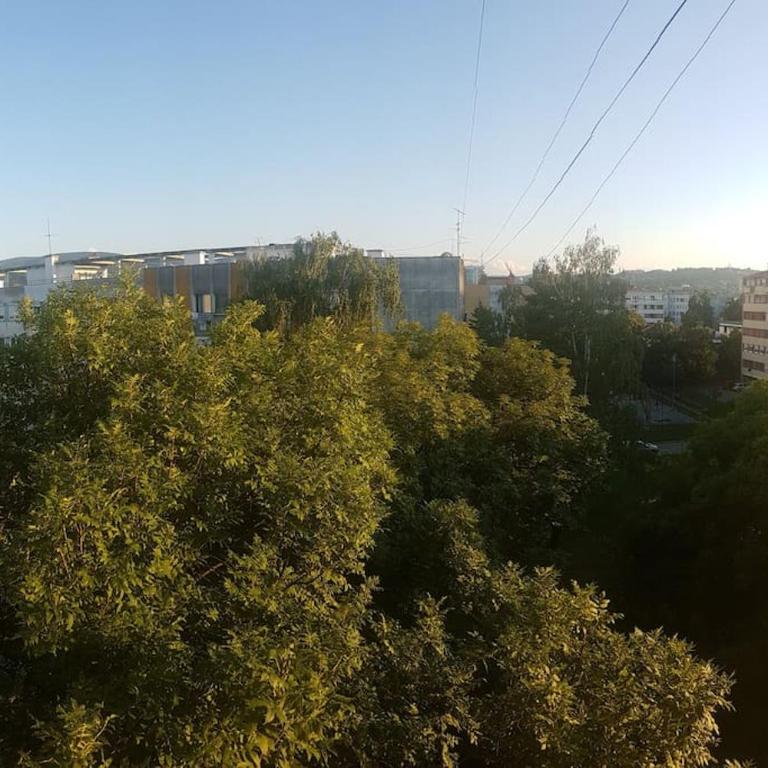 Comfortable apartment near the City Center - Apartman sa 1 Spavaćom Sobom - 21