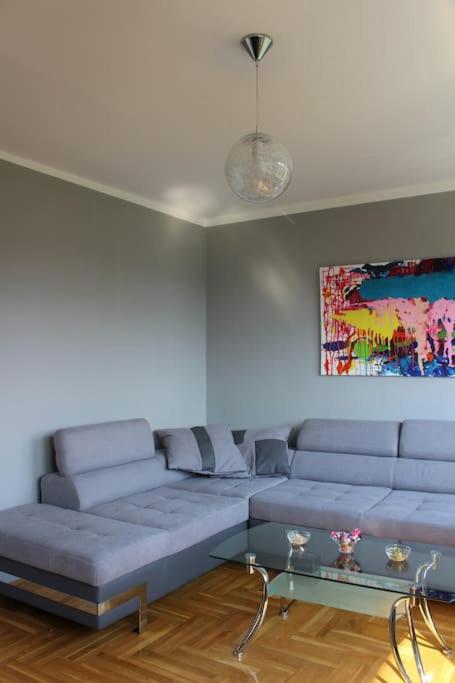 Comfortable apartment near the City Center - Apartman sa 1 Spavaćom Sobom - 2
