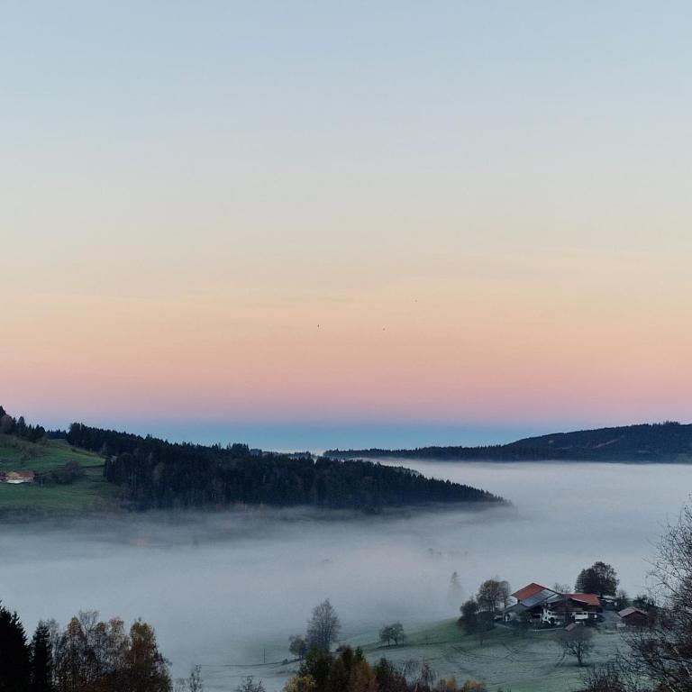 Allgäuer Ausblick - One-Bedroom Apartment - 2