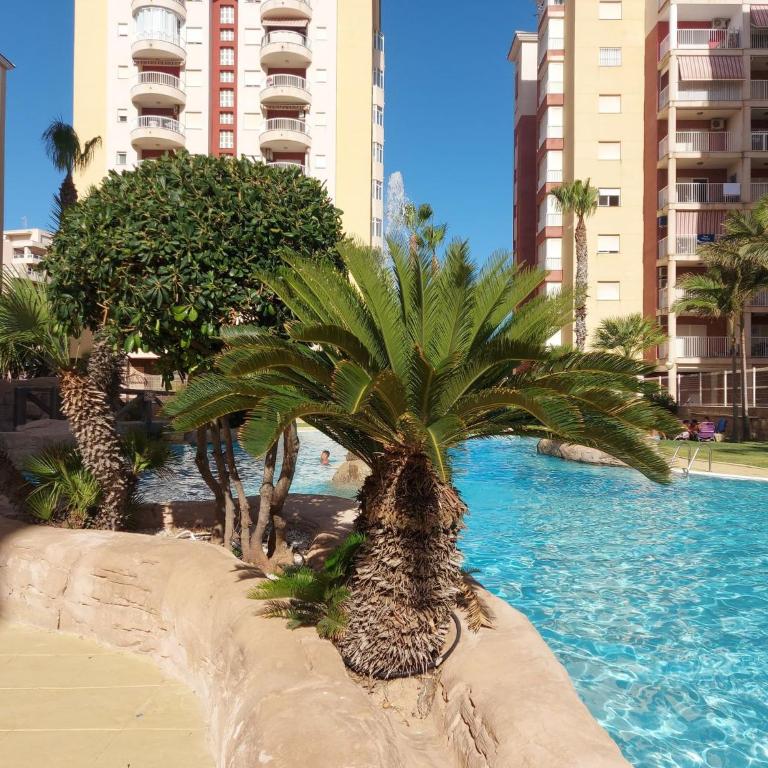 Apartament Blanca La Manga - Apartamento de 1 dormitorio - 4