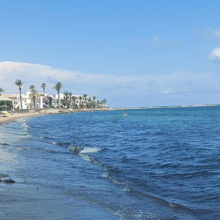 Apartament Blanca La Manga - Apartamento de 1 dormitorio - 66