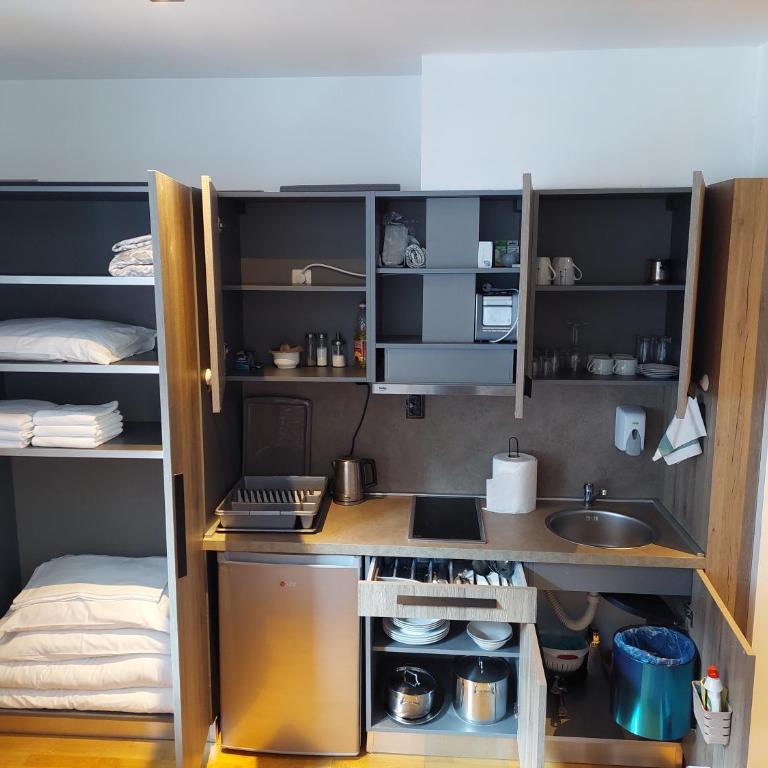 Brzeće Center Studio Mitrovski Gondola 300m - Superior Studio - 26