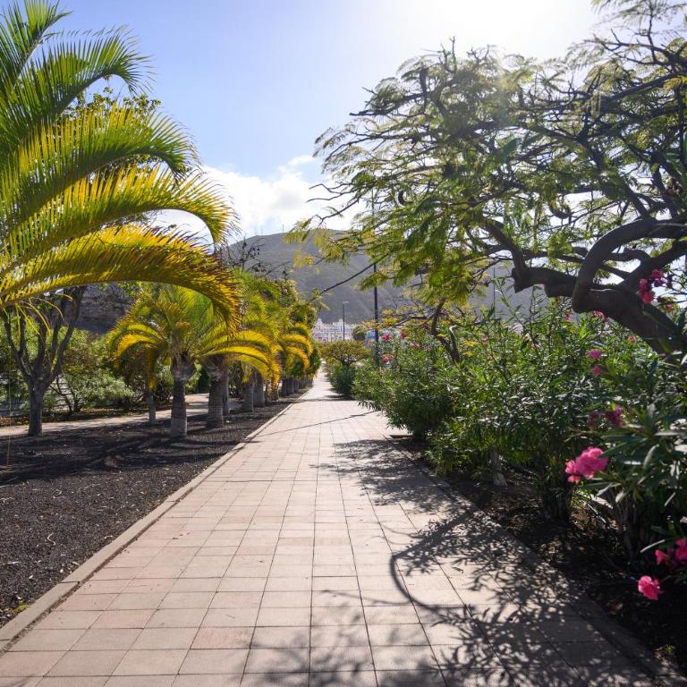 Terraza Los Cristianos - Apartamento de 1 dormitorio - 36