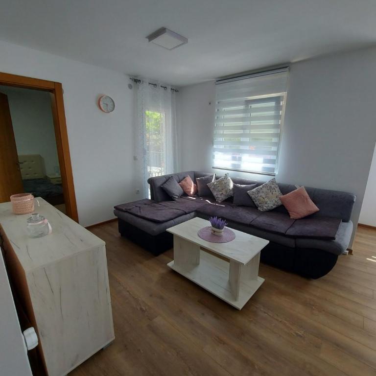 Tana Terme - Apartman sa 1 Spavaćom Sobom - 3