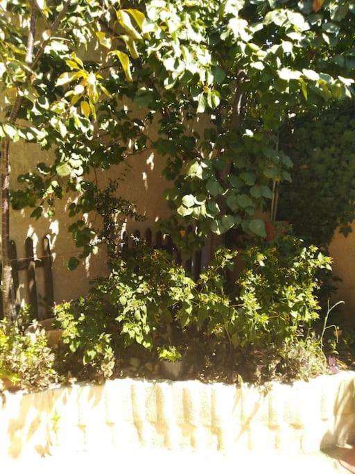 Studio idéal pour deux voyageurs sur Marseille - Apartamento de 1 dormitorio - 6