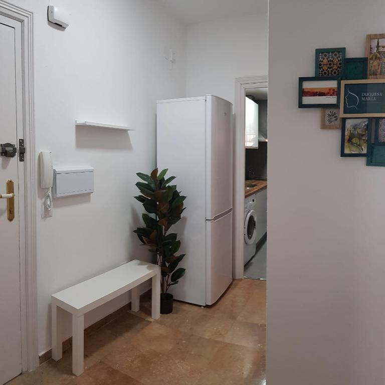 Duquesa María Apartamento en el corazón de Granada - One-Bedroom Apartment - 13