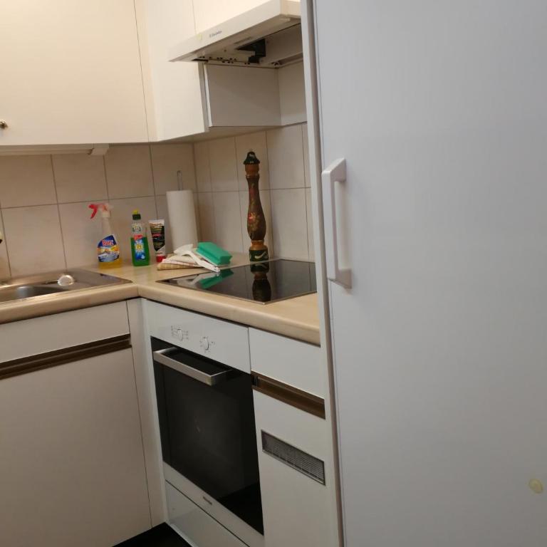 Rose Davos - Apartment mit 1 Schlafzimmer - 5