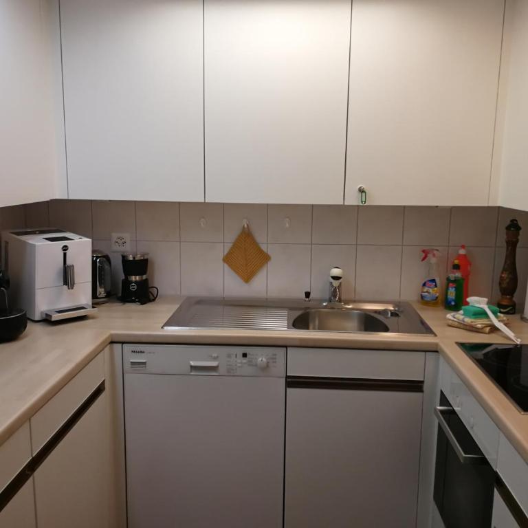 Rose Davos - Apartment mit 1 Schlafzimmer - 7