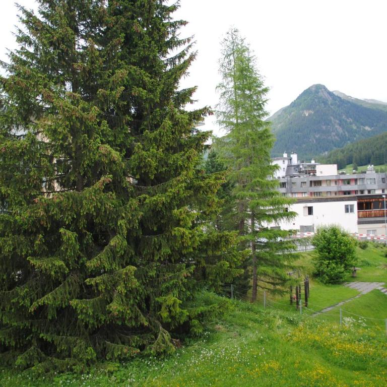 Rose Davos - Apartment mit 1 Schlafzimmer - 28