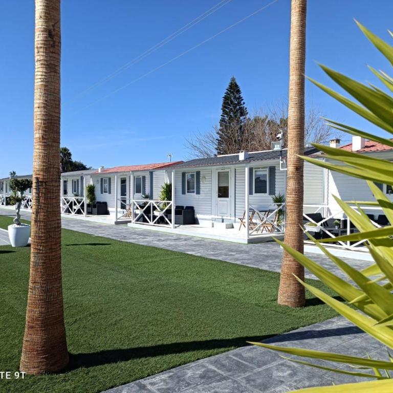 Bungalows Buda Beach - Bungalow con vistas al jardín - 3