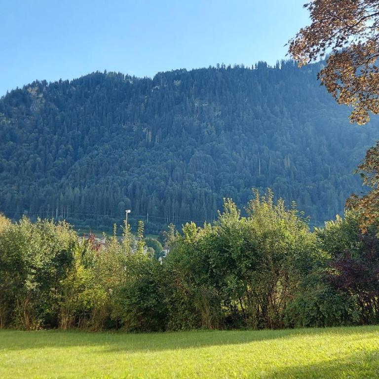Fewo Gabriela Allgäu - Apartment mit 1 Schlafzimmer - 33