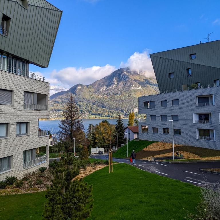 Reflet du Parmelan Annecy - Appartamento con Terrazza - 3