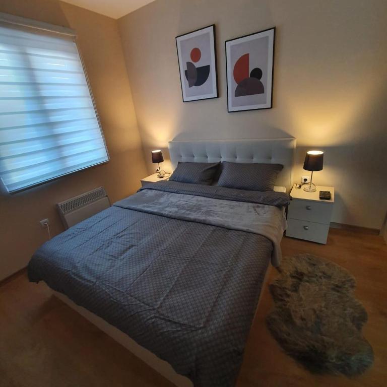 PlaninSKI Mir Lux - Apartman sa 1 Spavaćom Sobom - 7