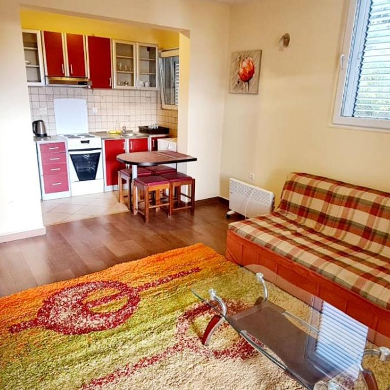 Apartment Seka - Apartment with Sea View - 14