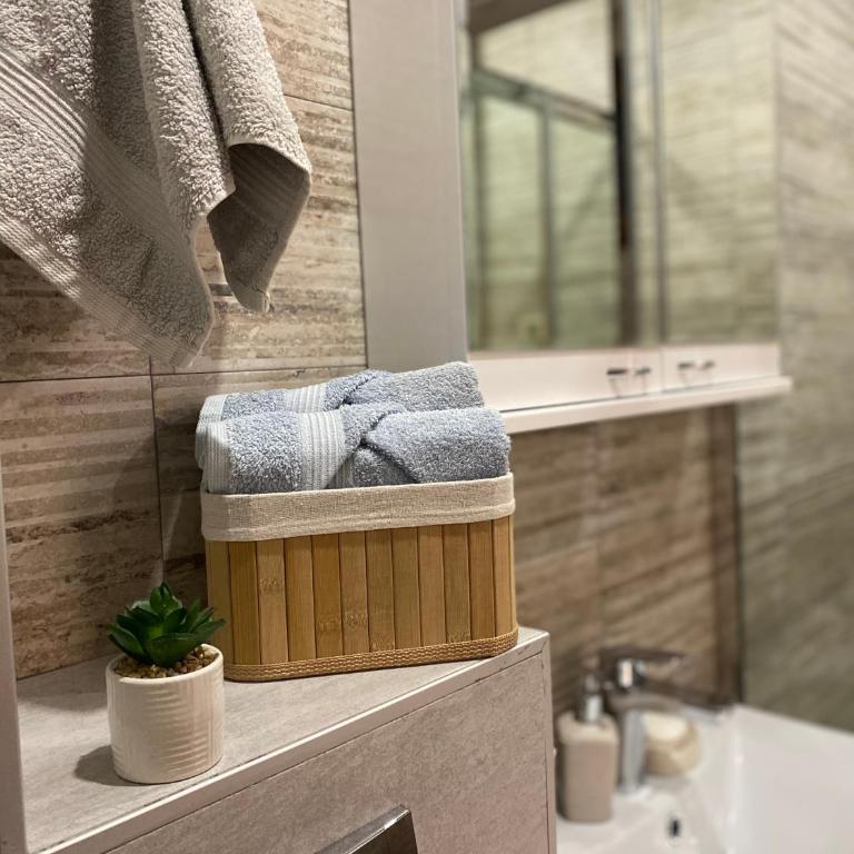 Apartman Radovanović - One-Bedroom Apartment - 20