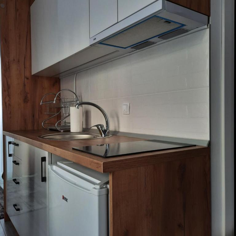 Amor Divčibare - Apartman sa 1 Spavaćom Sobom - 7