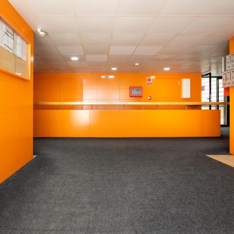 Elloft Sierra Nevada - Apartamento de 1 dormitorio - 45