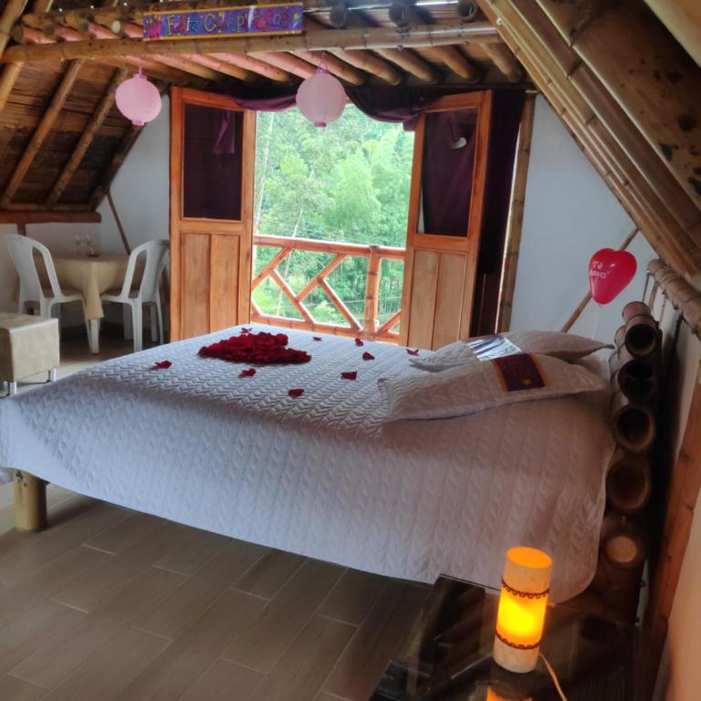 Villa Ester Hostel Vereda Cay - Cabaña de 1 dormitorio - 10