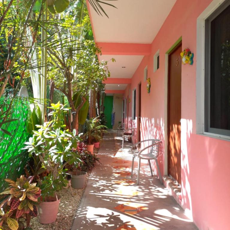 Casona del Negro Aguilar - Habitación Doble con vistas al jardín - 2 camas - 11