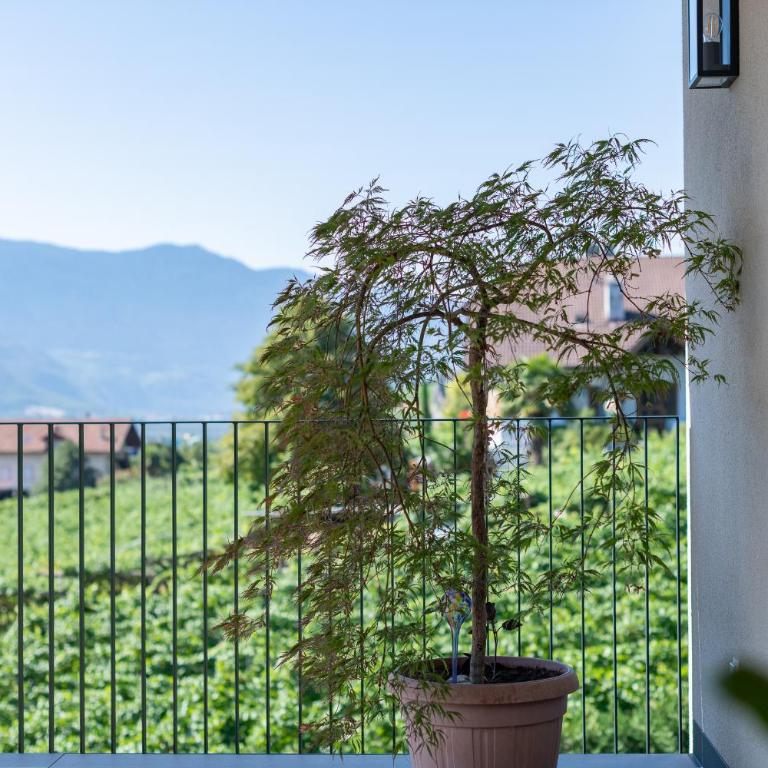 Stürz Ferienwohnungen - Appartamento con 2 Camere da Letto - 5