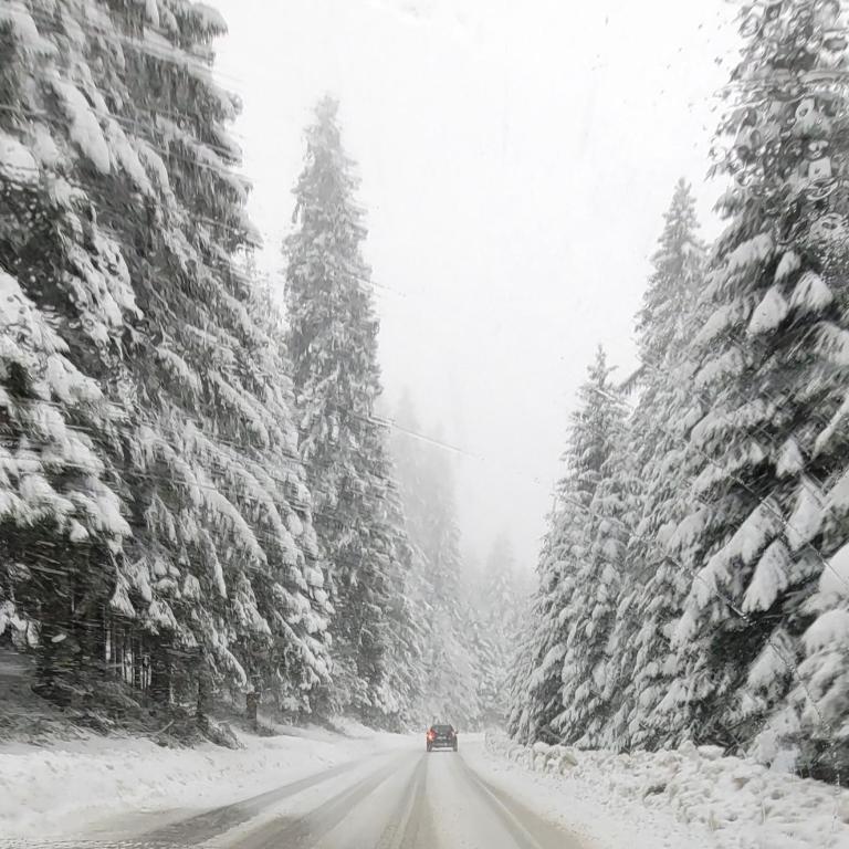 Apartmani Sestosed-Snezna Dolina - One-Bedroom Apartment - 8