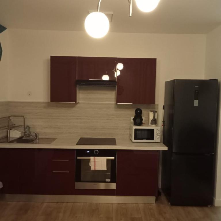 WIFI- STADE DE FRANCE- BASILIQUE CATHEDRALE MONSEJOURASAINTDENIS - Apartment with Shower - 1