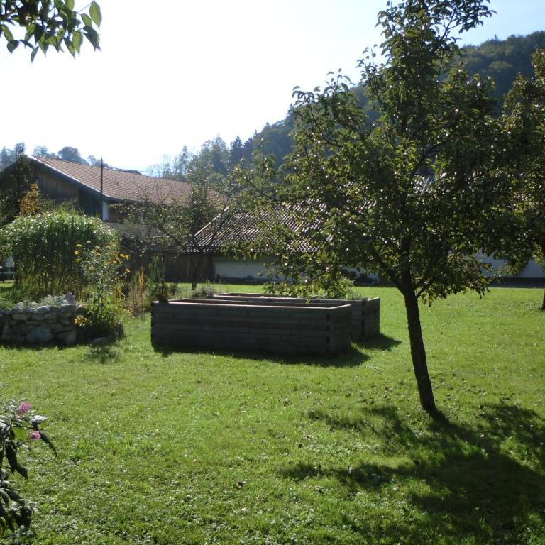 Heidinger - Apartment - 9