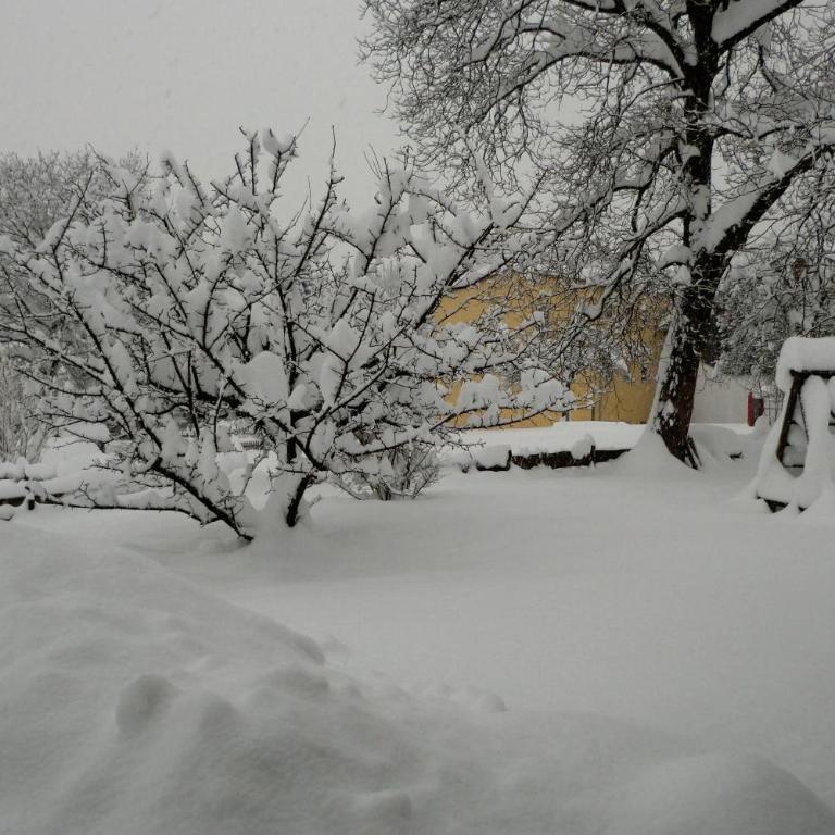 Heidinger - Apartment - 20