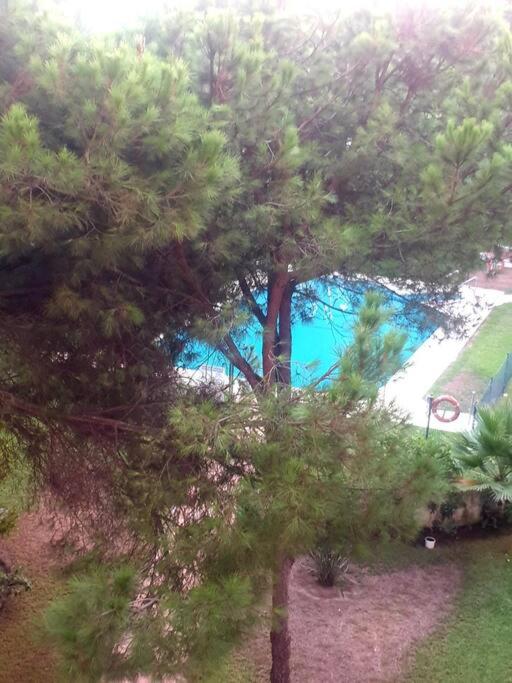Precioso estudio con piscina a 200m del mar - One-Bedroom Apartment - 62