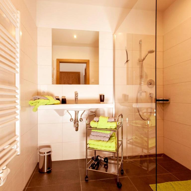LoriVita Residenz Saalbach - Appartamento con 1 Camera da letto con doccia - 3