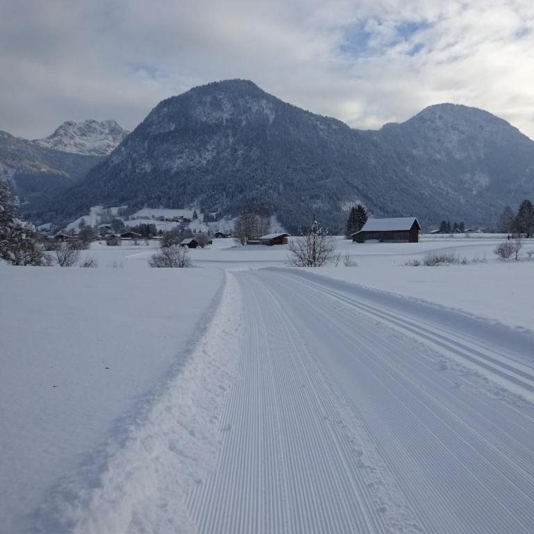 Appartement Weissbacher - Big Two-Bedroom Apartment with Balcony and Mountain View - 54