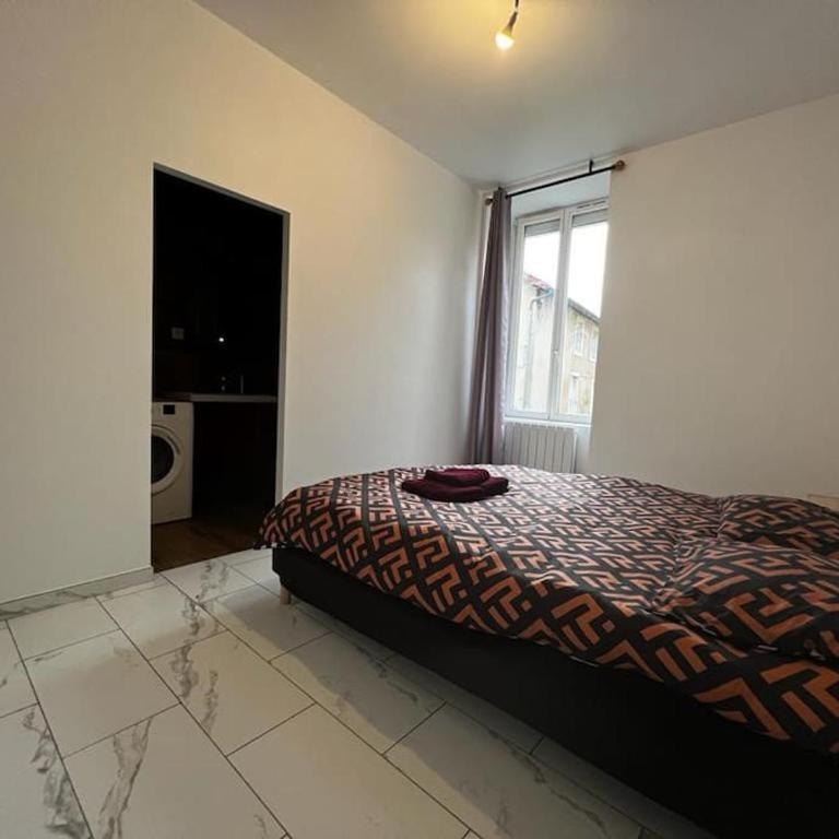 Bel appartement en centre ville de Limoges - Appartement 1 Chambre - 4