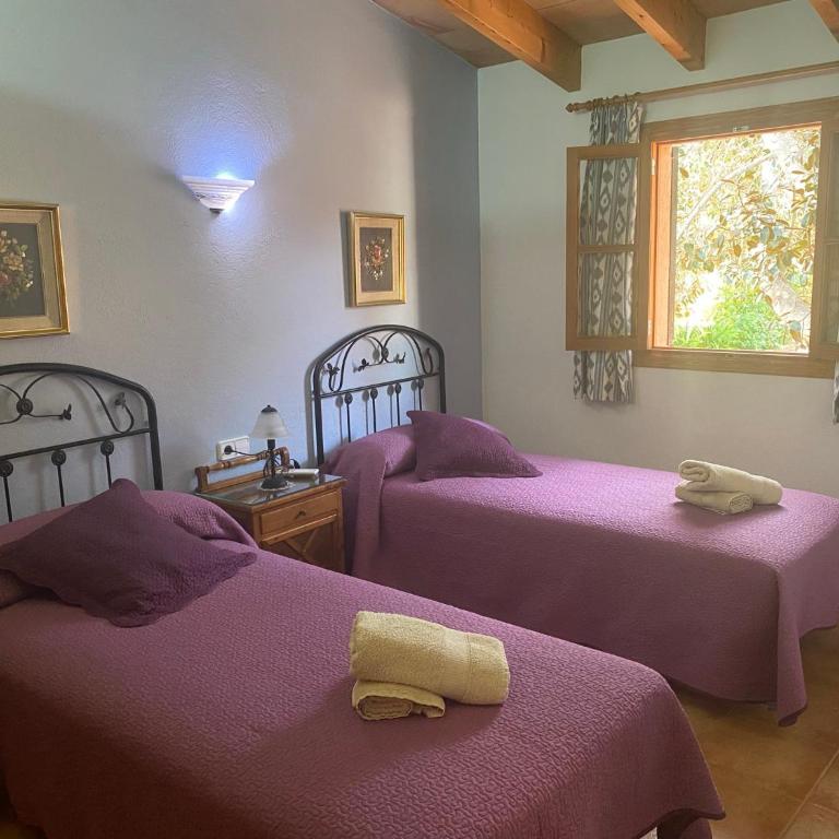 Villa Can Vilanova - Villa 2 Chambres - 19