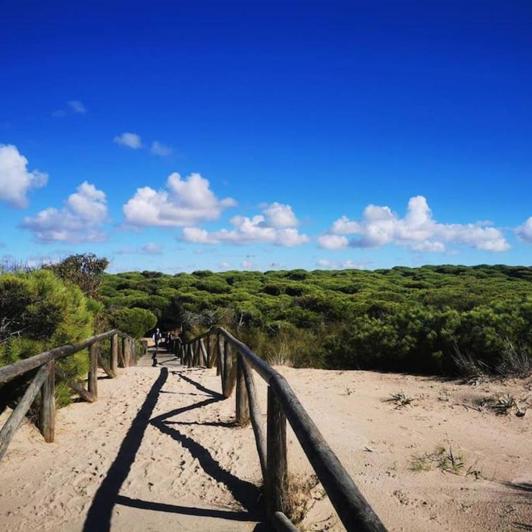 Apartamento Calma Candor - Two-Bedroom Apartment - 38