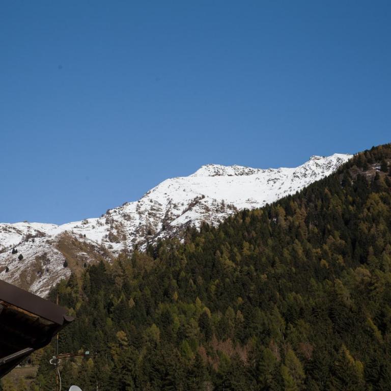 Piccolo Chalet - Appartamento con 1 Camera da Letto - 13