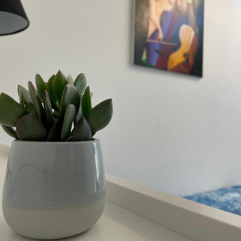 Daisy House - Appartamento con 1 Camera da Letto - 8