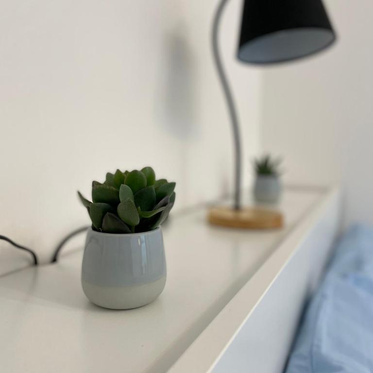 Daisy House - Appartamento con 1 Camera da Letto - 3