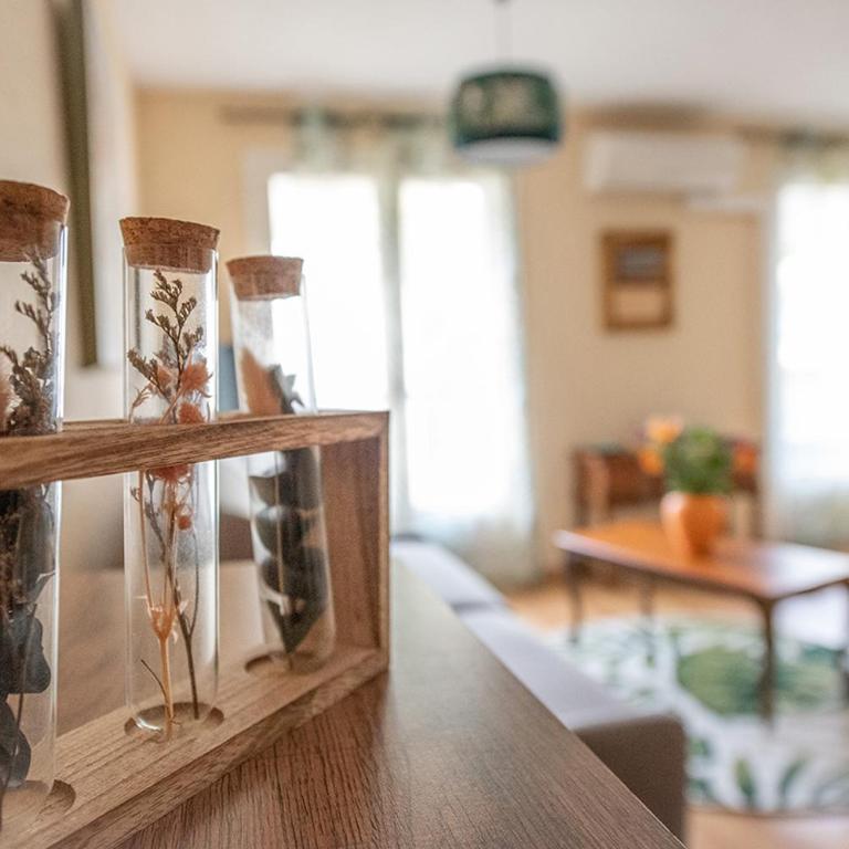 Charmant T1 Bis Idéalement situé au pied des thermes Amélie-les-bains - Appartement - 8