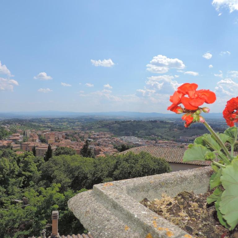 Hotel Signa - Camera Matrimoniale/Doppia con Letti Singoli con Terrazza - 8