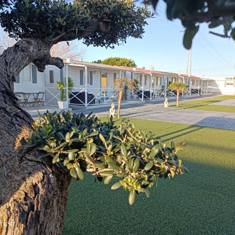 Bungalows Buda Beach - Bungalow con vistas al jardín - 15