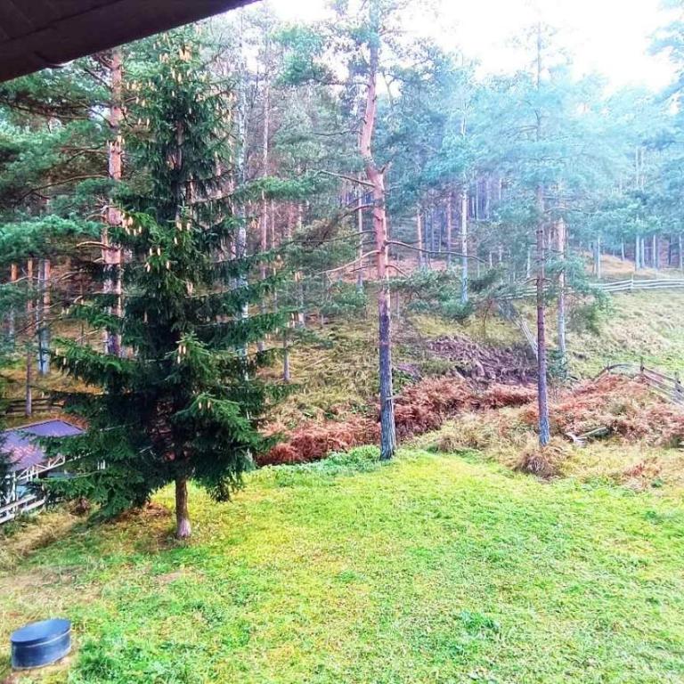 Vikendica Boki i Maki - Kuća sa 2 Spavaće Sobe - 25