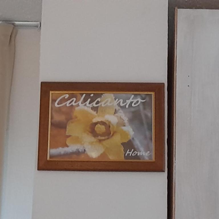 Calicanto Home - Appartamento - 2