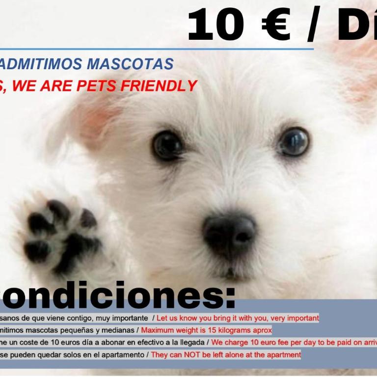 Goya Hospitales - Apartamento - 7