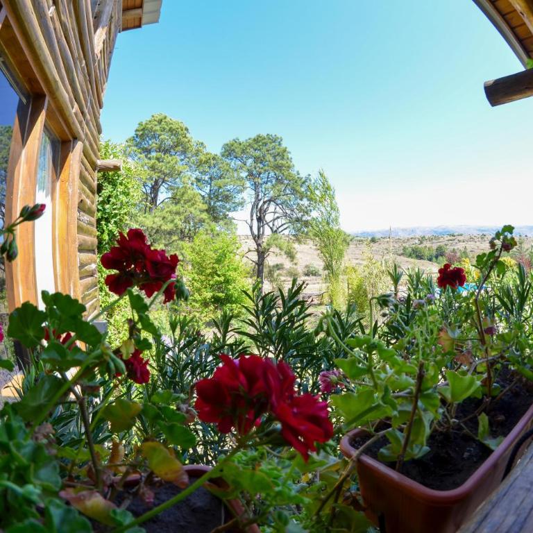 LA LINDA - Cabaña de Montaña - Two-Bedroom Chalet - 32