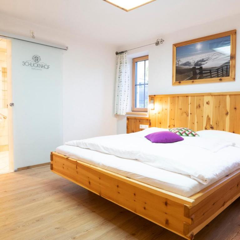 Schlicknhof - Apartment mit 1 Schlafzimmer - 2