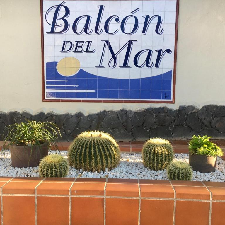 Our favourite place. Apartment with all amenities. - Apartamento de 1 dormitorio - 25