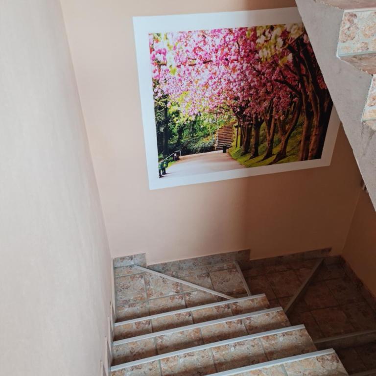 Apartman's Ana Pale-OC Jahorina No.2 - One-Bedroom Apartment - 20